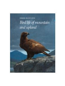 Bird Life of Mountain and Upland - 9780521142595