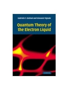 Quantum Theory of the Electron Liquid - 9780521527965