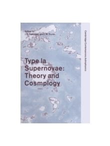 Type Ia Supernovae - 9780521780360