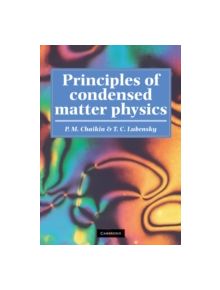 Principles of Condensed Matter Physics - 9780521794503