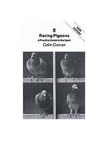 Racing Pigeons - 9780571178148