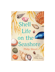 Shell Life on the Seashore - 9780571354450