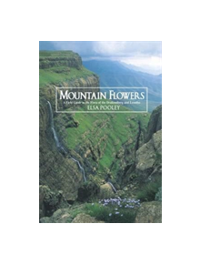 Mountain Flowers - 9780620302210