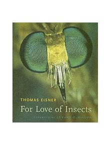 For Love of Insects - 9780674018273