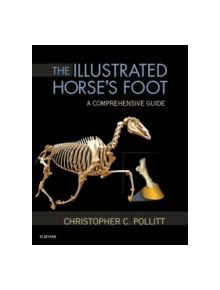 The Illustrated Horse's Foot - 9780702046551