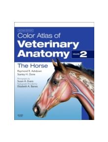 Color Atlas of Veterinary Anatomy, Volume 2, The Horse - 9780702052293