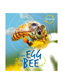 Lifecycles: Egg to Bee - 9780711241022