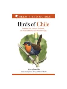 Birds of Chile - 9780713646887