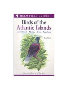 A Field Guide to the Birds of the Atlantic Islands - 9780713660234