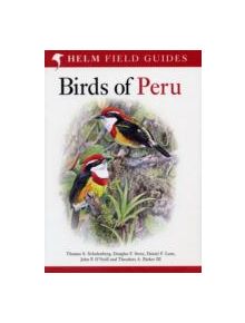 Birds of Peru - 9780713686739