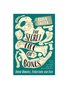 The Secret Life of Bones - 9780715653791