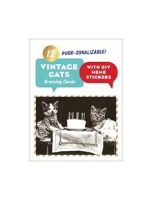 Vintage Cat Memes Diy Greeting Card Folio - 9780735354227