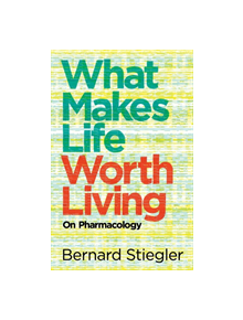 What Makes Life Worth Living - 9780745662718