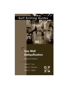 Gas Well Deliquification - 8110 - 9780750682800