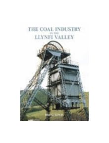 The Llynfi Valley Coal Industry - 9780752438726