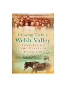 Growing Up in a Welsh Valley: Sunshine on the Mayfield - 9780752447568