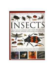 The Illustrated World Encyclopaedia of Insects - 9780754819097