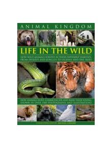 Animal Kingdom - 9780754819639