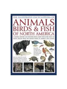 Illustrated Encyclopedia of Animals, Birds and Fish of North America - 9780754819875