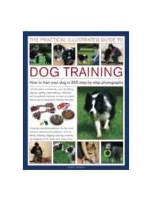 Practical Illustrated Guide to Dog Training - 9780754820673