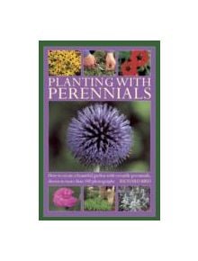 Planting with Perennials - 9780754827351