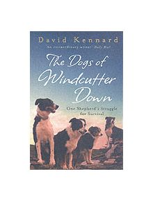 The Dogs of Windcutter Down - 9780755312573