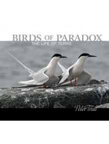 Birds of Paradox: The Life of Terns - 9780764357640