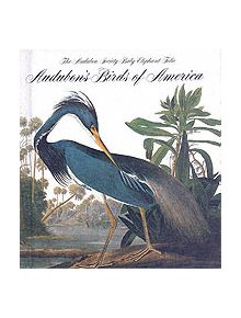 Audubon's Birds Of America - 9780789208149