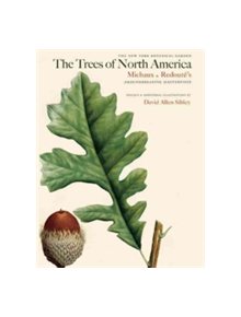 Trees of North America - 9780789212764