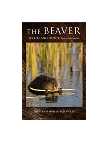 The Beaver - 9780801461347