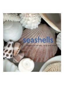 Seashells - 9780810993273