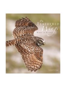 On Feathered Wings - 9780810995253