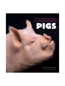 Extraordinary Pigs - 9780810997424