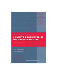 A Path to Combinatorics for Undergraduates - 9780817642884