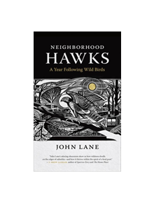 Neighborhood Hawks - 9780820354934