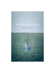 Through a Small Ghost - 9780820356570