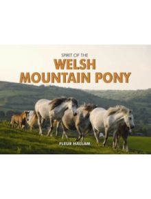 Spirit of the Welsh Mountain Pony - 9780857100290