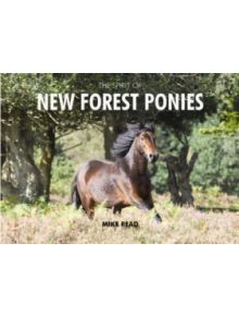 The Spirit of New Forest Ponies - 9780857100757