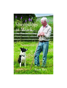 Sheepdogs at Work - 9780857160201