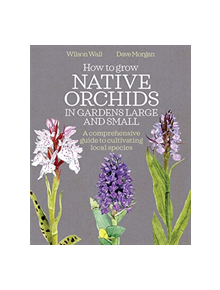 How to Grow Native Orchids in Gardens Large and Small - 9780857844606