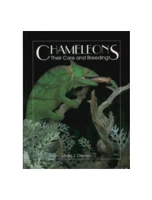 Chameleons - 9780888393531