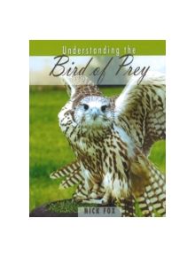 Understanding the Bird of Prey - 9780888397324