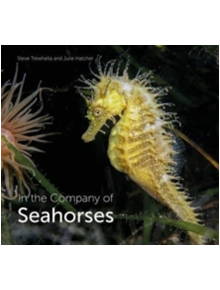 In the Company of Seahorses - 9780995567320