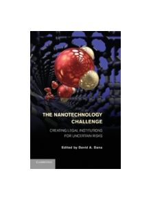 The Nanotechnology Challenge - 9781107440043