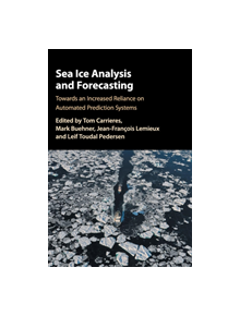 Sea Ice Analysis and Forecasting - 9781108417426