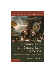 Common Law and Natural Law in America - 9781108476973