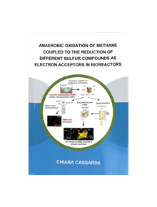 Anaerobic Oxidation of Methane Coupled to the Reduction of Different Sulfur Compounds as Electron Acceptors in Bioreactors - 