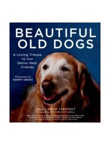 Beautiful old dogs - 9781250030221