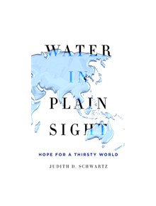 Water in Plain Sight - 9781250069917