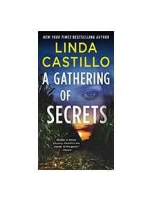 A Gathering of Secrets - 9781250121325